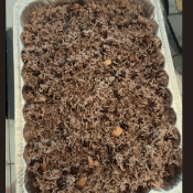 Bandeja de congri